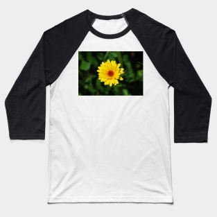 English Marigold Baseball T-Shirt